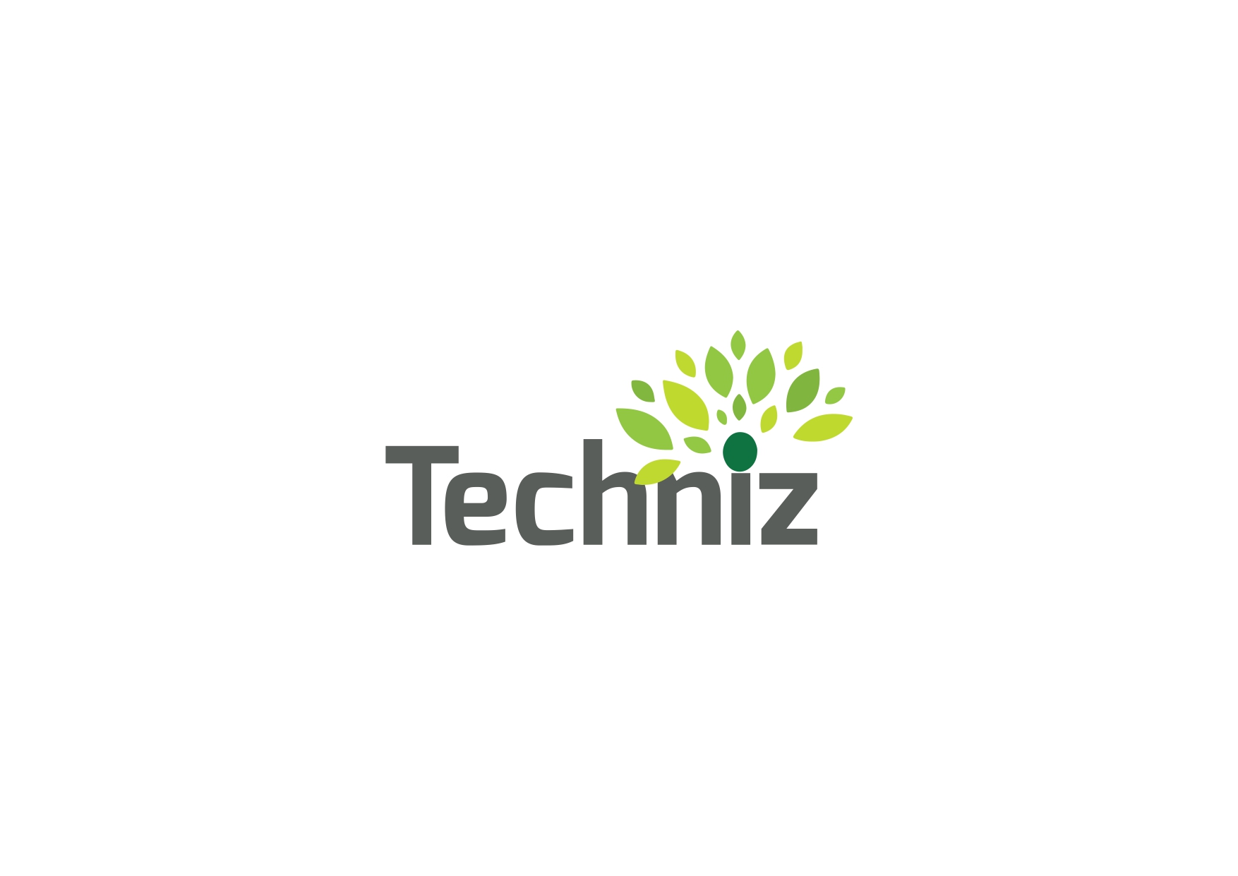 Techniz Technologies LLC